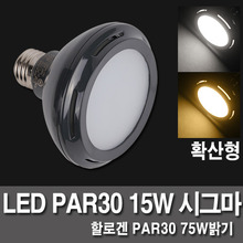 LED램프 / LED PAR30 15W 시그마 확산형