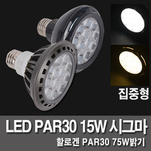 LED램프 / LED PAR30 15W 시그마 집중형