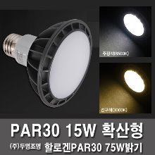 LED램프 / LED PAR30 15W 두영 확산형